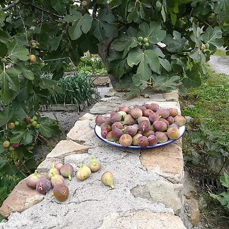 Country house Azadas *