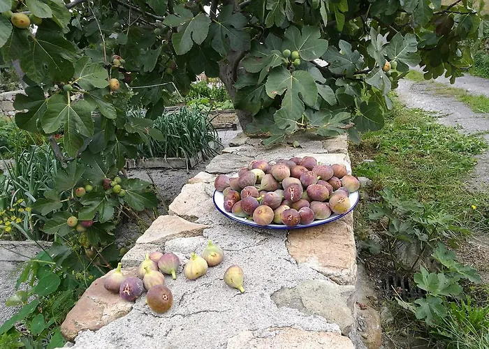 Séjour à la campagne Azadas *