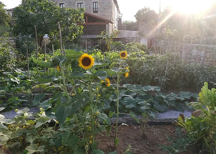 Azadas Séjour à la campagne Tezanos